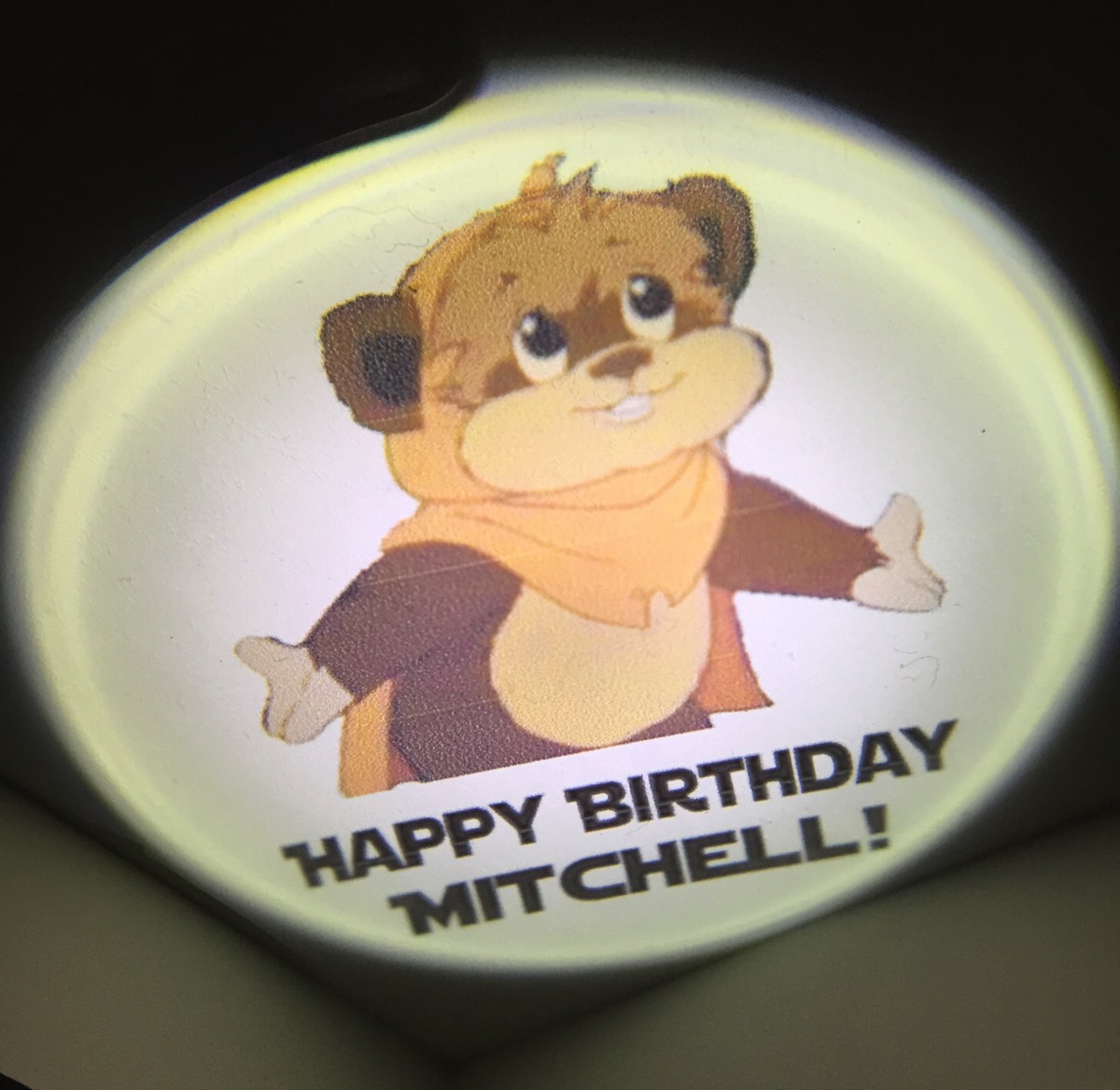 Ewok custom budget gobo for Mitchell’s first birthday.  This was a Star Wars themed birthday party.